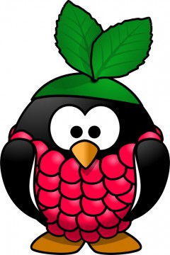 raspberry-penguin.jpg