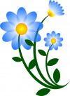 nature-flower-blue-motif-800px.jpg
