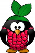 raspberry-penguin-800px.jpg